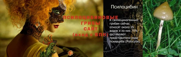 не бодяженный Арсеньев