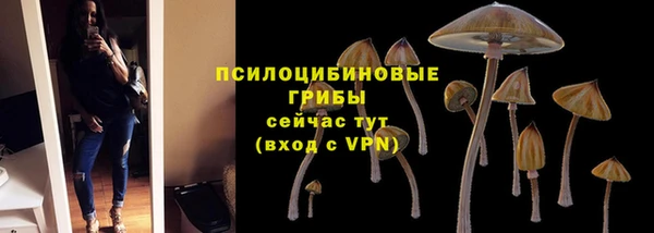 марки nbome Аркадак