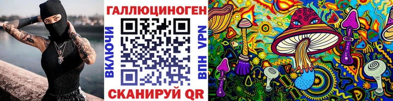 закладки  Калининец  Псилоцибиновые грибы GOLDEN TEACHER 