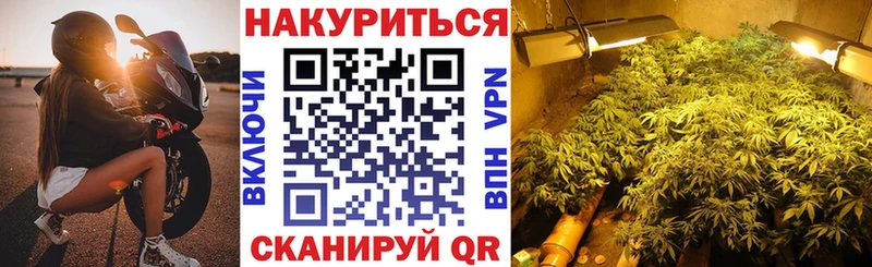Бошки марихуана OG Kush  Калининец 